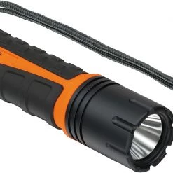 Brennenstuhl ProfessionalLINE Lampe Portative 9170100100 Torche LED Rechargeable TL 9-00 IP68